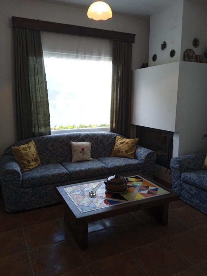 Aloni Villa Skopelos Extérieur photo